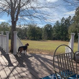 Meet your Posher, Susan